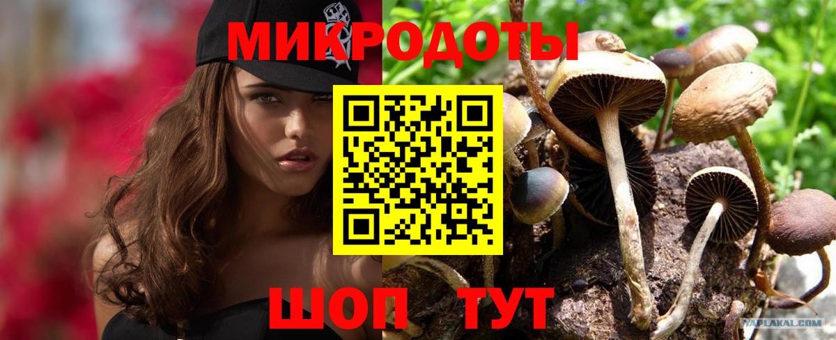 Псилоцибиновые грибы прущие грибы Выкса